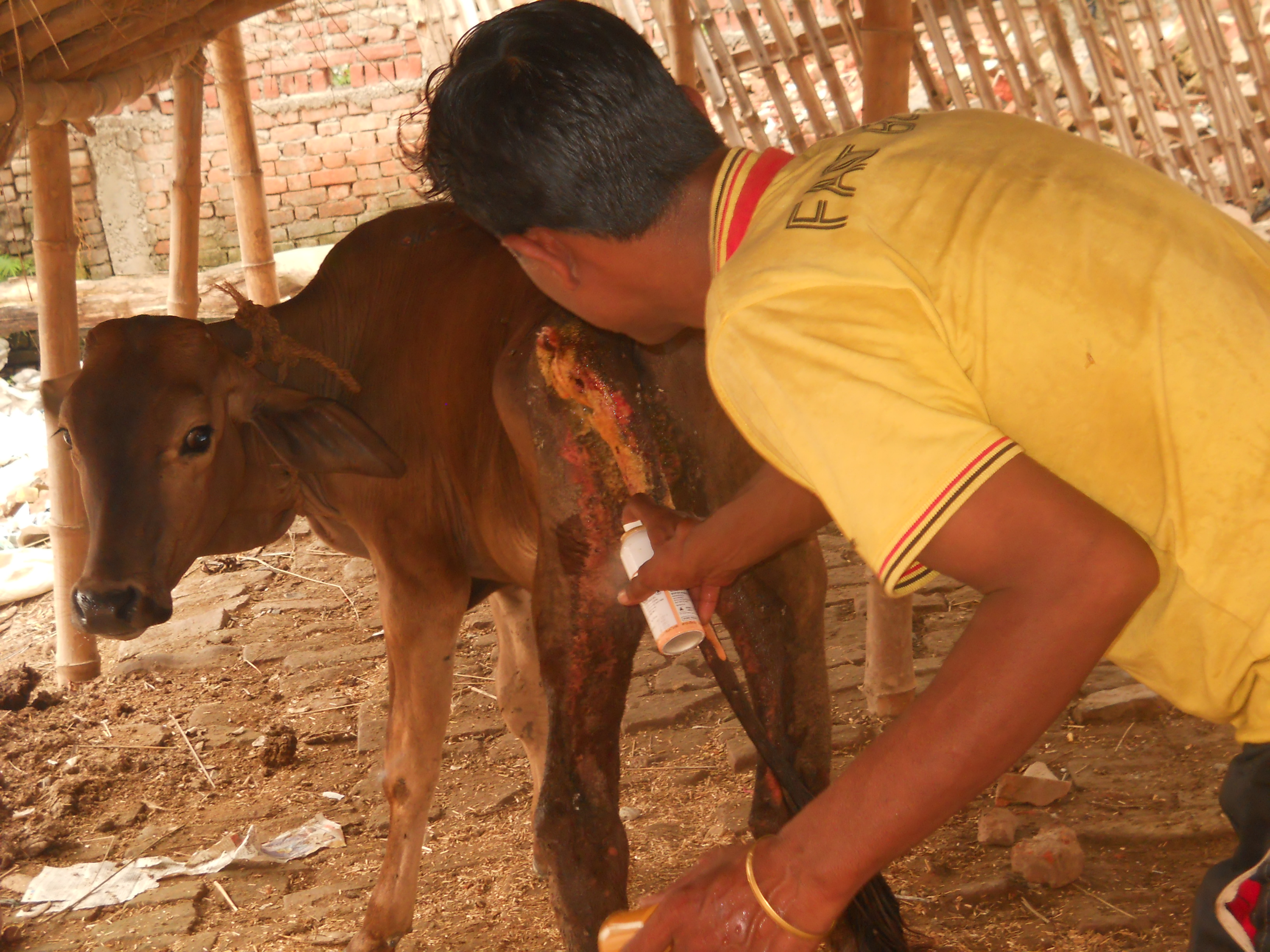 Ram Kumar Das Kothari Ji Maharaj